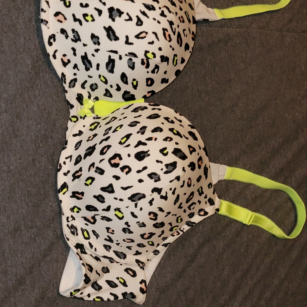 Torrid bra